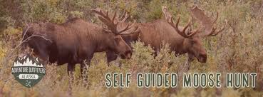 Self guided trophy moose huntingalaska video nine. Diy Alaska Hunts Adventure Outfitters Alaska