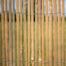 Bamboo Screening Panel 2 X 3m Buy