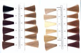 Shades Color Chart Pic Fly Html Sophie Hairstyles 44955