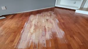 pet odor is removed while hardwood