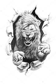 dessin crayon d un lion image libre de