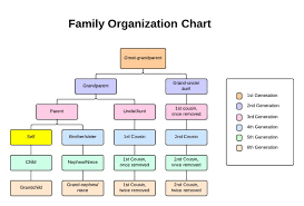 Organizational Chart Template Google Docs Resume Business