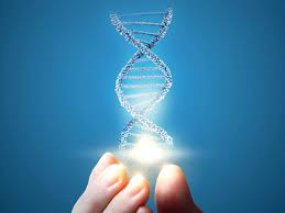 genetic tests in india genetic tests