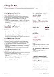 Digital Marketing Consultant Resume Samples 11 Examples