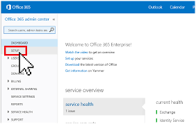 accessing domain emails with office 365