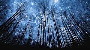 beautiful wallpaper hd night sky stars