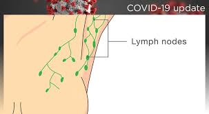 swollen lymph nodes and the covid 19