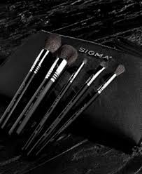 sigma beauty 6 pc signature brush set