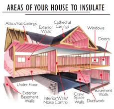 where to insulate your house green