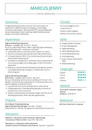 The seo resume examples below have been developed to assist seo professionals in crafting their own resumes. Digital Marketing Resume Example Cv Sample 2020 Resumekraft