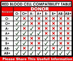 Blood Type Compatibility Chart Kozen Jasonkellyphoto Co