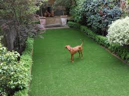 Fake Grass For Pets 6 Common Questions