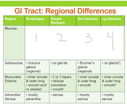 Histology Gi Regional Differences Chart Science