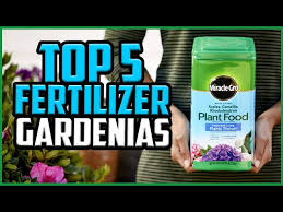 Top 5 Best Fertilizers For Gardenias Of