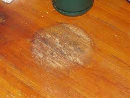 clean wood floors maintain hardwood