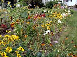 The Cutting Garden