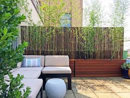 Bamboo Fence Backyard