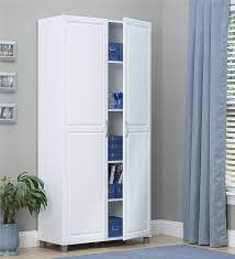 Attractive Storage Cabinets For Home