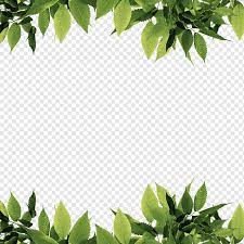 green leaves png images pngwing