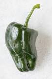 Are poblano peppers hotter than bell peppers?
