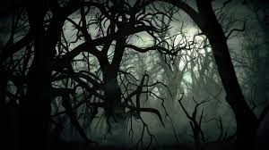 dark forest at night scary animation