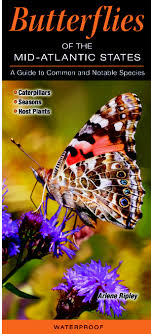 Butterflies Of The Mid Atlantic Quick Reference Publishing