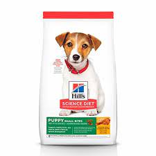 the best dog food in 2024 according to