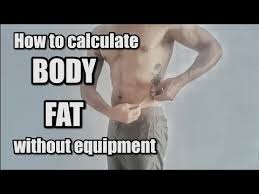 how to mere your body fat without