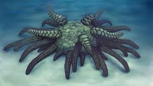In the cthulhu mythos, a common trope is the existence of a powerful cult that attempts to wake him. 430 Million Year Old Fossil Of Sea Creature Named After Lovecraft S Cthulhu Mythos