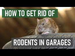 keep rats mice out of your garage