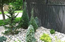 Landscaping With Conifers The Garden