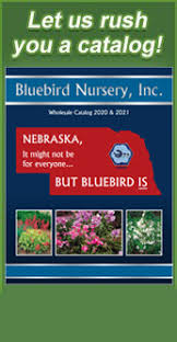Plant Calculation Chart Bluebird Nursery Inc