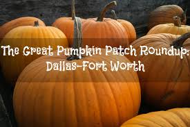 the great pumpkin patch roundup 2016