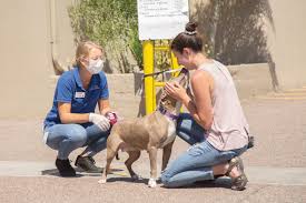 We look forward to seeing you soon! Arizona Humane Society Adjusts Services Amid Covid 19 Outbreak Your Valley