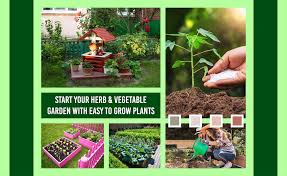 How To Start Herb And Vegetable Garden