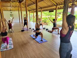 flow yoga teacher training flow yoga