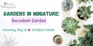 Miniature Succulent Garden Work