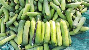 Image result for vegetable khmer