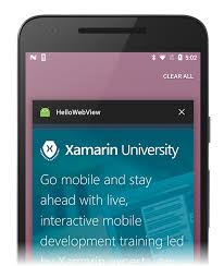 And this video and guide shows how to use it for your app. Web View Xamarin Microsoft Docs