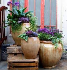 too nice potted plants outdoor