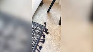 woman shares hack to stop rug corners