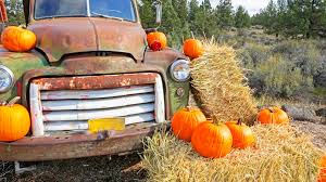 Easy trunk or treat decoration ideas. Trunk Or Treat Theme Ideas For Any Size Vehicle