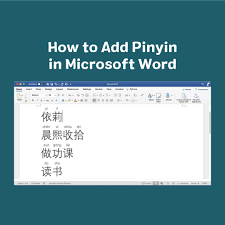 how to add pinyin in microsoft word
