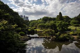 the shinjuku gyoen national garden