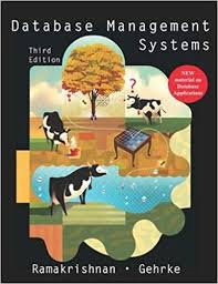 Database Management Systems 3rd Edition Raghu Ramakrishnan