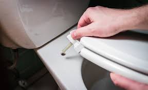 Common Toilet Problems You Can Easily