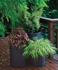 shady container gardens