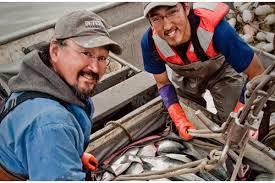 Find fishing industry jobs in alaska the areas of alaska as we describe them are divided up into 5 areas. In From The Wild Sea Salmon And Tradition In Alaska S Bristol Bay Sailors For The Sea