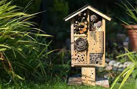 How To Build A Hotel For Wild Bees