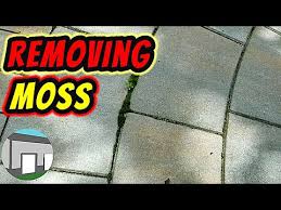How To Remove Moss Between Patio Stones